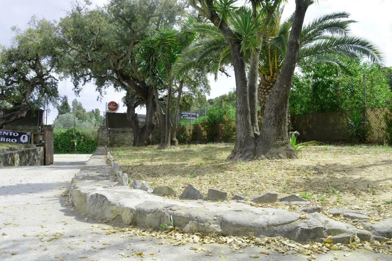 Alojamiento El Chaparro Barbate Junto A La Venta El Loro Εξωτερικό φωτογραφία